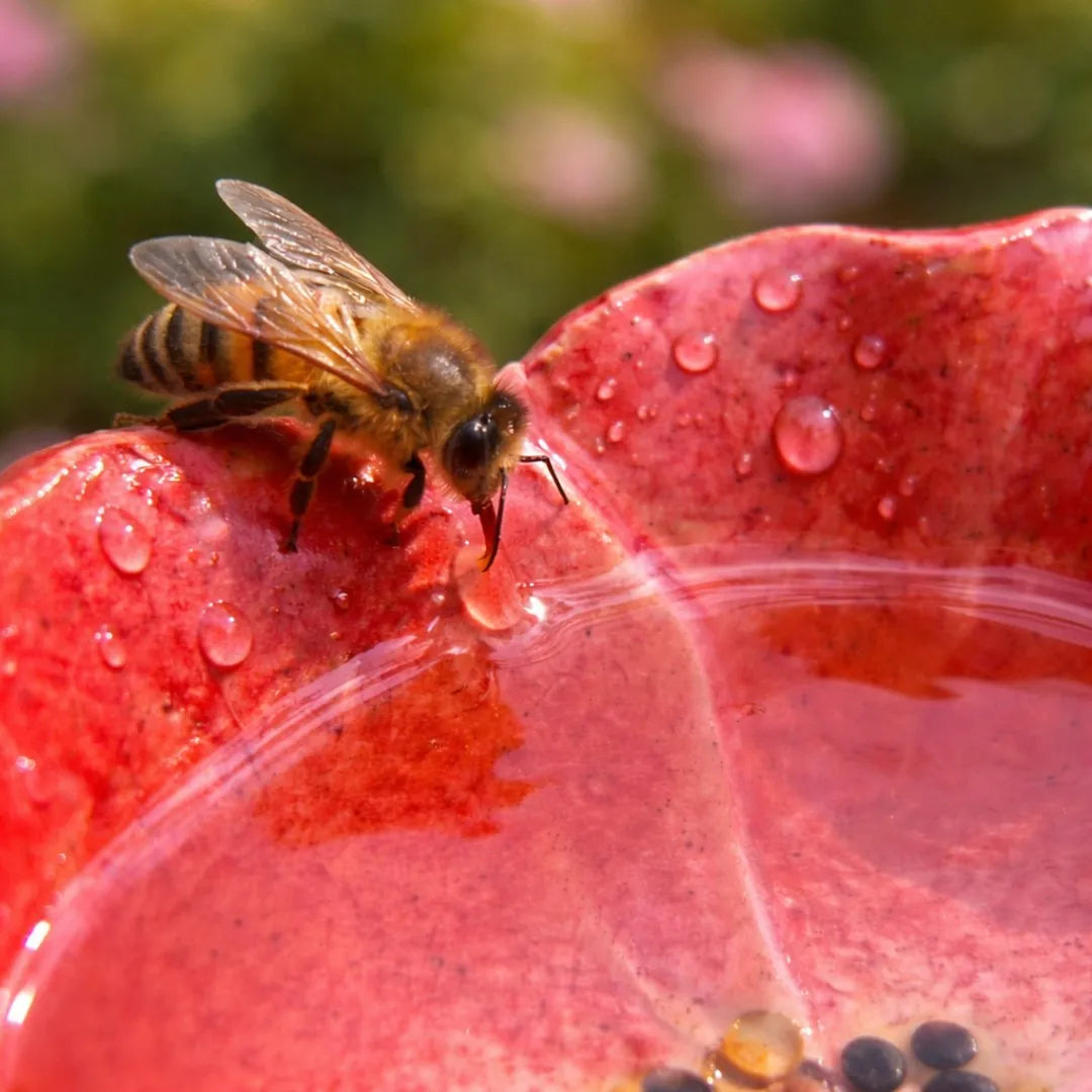 Magische Bienenblüten – Wetterfeste Keramik-Tränken, 4er-Set