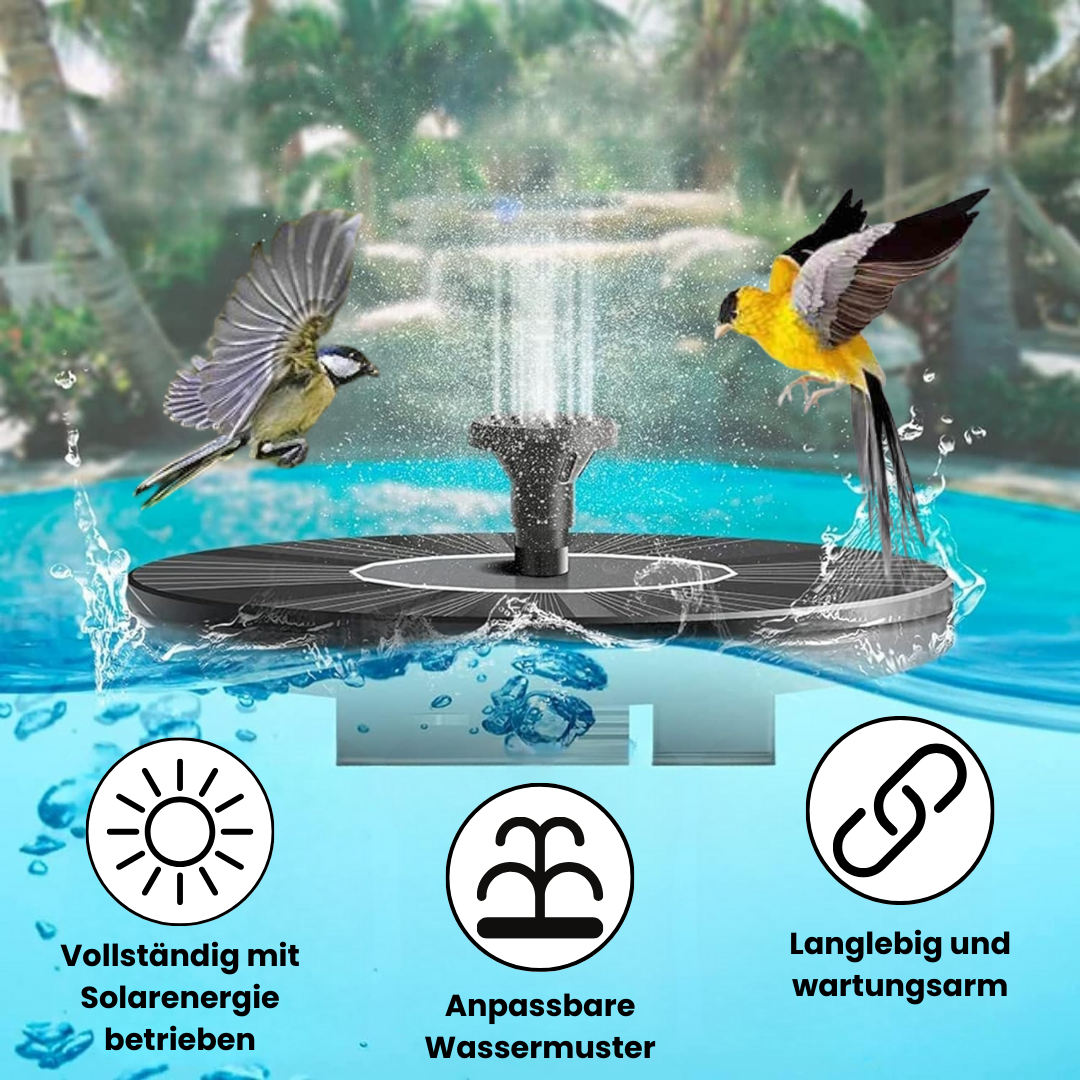 H Fontäne für Vögel