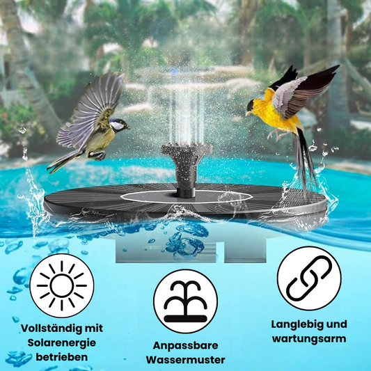 H Fontäne für Vögel
