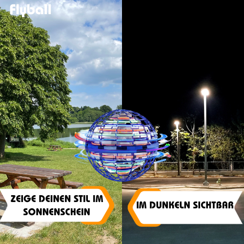Flyball - Der fliegende Boomerang Ball